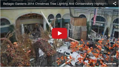 WWW-Bellagio Gardens 2014 Christmas Tree Lighting And Conservatory Highlights