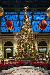 news-Bellagio-Conservatory-Holiday-Tree-166x250