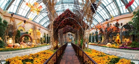 news-Bellagio Gardens Fall Display 2014-450x208