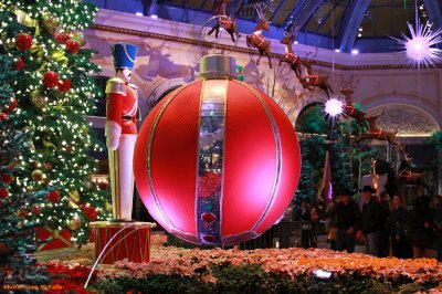 Bellagio-Gardens-Christmas-Las-Vegas-2009-003