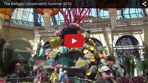 WWW-The Bellagio Conservatory Summer 2015