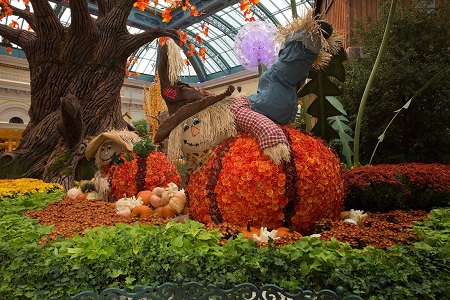 news-Bellagio-Conservatory-Fall-2015