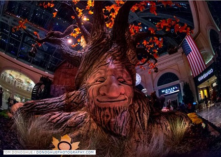 news-Bellagio Conservatory Brings Fall To Las Vegas