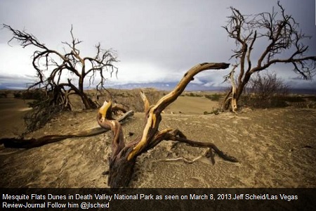 news-Death Valley is full of life if you know where to look