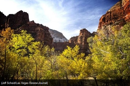 news-Fall foliage adds to grandeur of Zion National Park