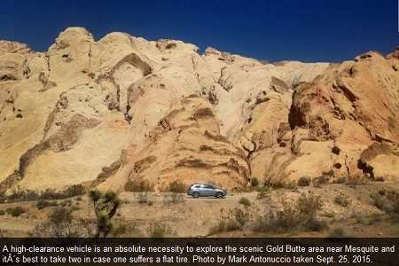 news-Gold Butte Ghost Town is a challenge but its also a wonderful adventure