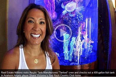 news-Reality Show Tanked Boosts Aquarium Sales