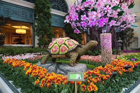 news-Bellagio-Conservatory-Spring-2016-North-Bed