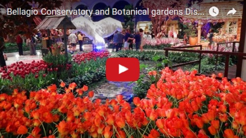 WWW-Bellagio Conservatory And Botanical Gardens Display Spring 2016
